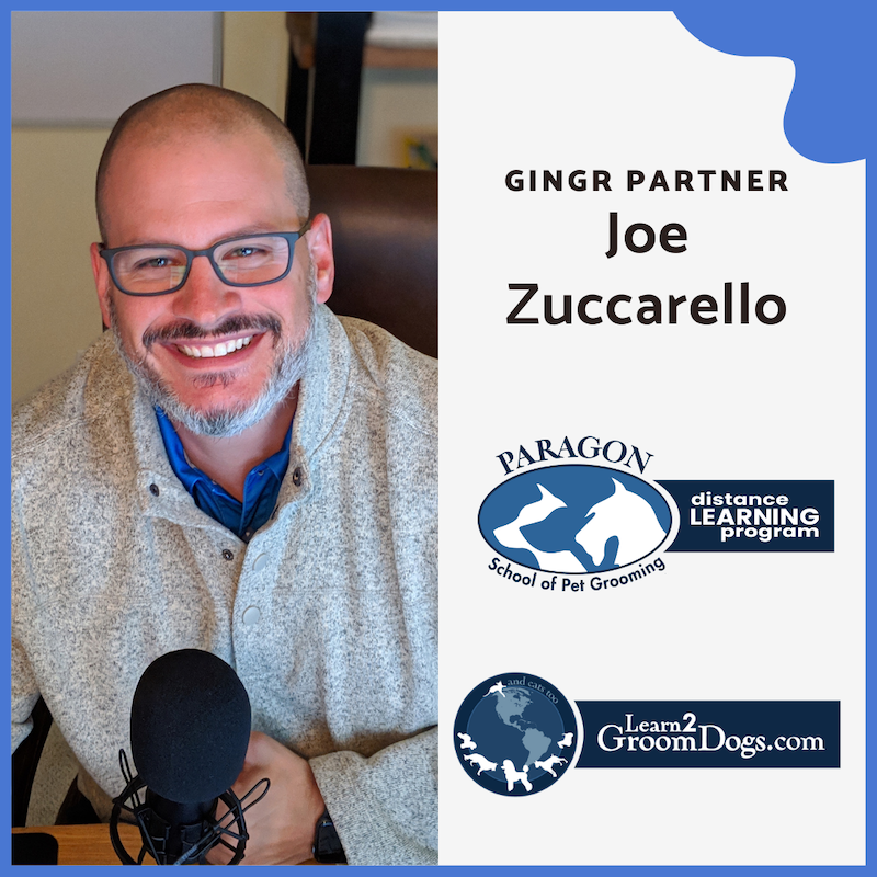 Gingr Partner Joe Zuccarello